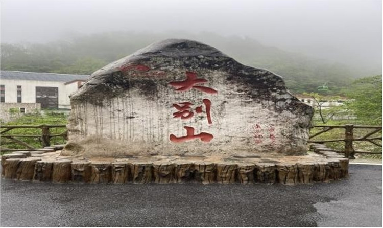 1683278876174316.jpg 11.jpg